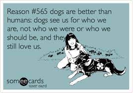 Today S News Entertainment Video Ecards And More At Someecards Someecards Com Dog Quotes I Love Dogs Dog Love