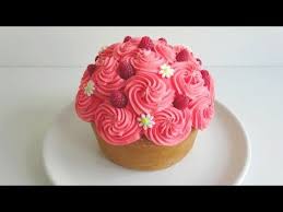 Maxi Cupcake Vanille Framboise Recette Realisee Avec Zoe Cupcake Framboise Cupcakes Mini Gateau