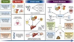 The fae twins (the dark fae series book 2) download Chronic Liver Diseases And The Microbiome Translating Our Knowledge Of Gut Microbiota To Management Of Chronic Liver Disease Gastroenterology