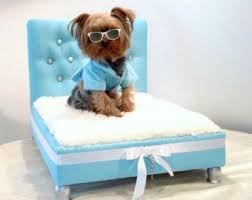 Plush and snug, its flat surface allows large breeds to stretch out or several smaller dogs to rest just like humans, dogs need beds for multiple reasons. Unique Dog Beds For Small Dogs Off 63 Online Shopping Site For Fashion Lifestyle