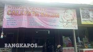 Still using and loving my galvanic spa. Mau Perawatan Wajah Dan Rambut Datang Saja Ke Rumah Cantik Callysta Salon Bangkapos Wiki