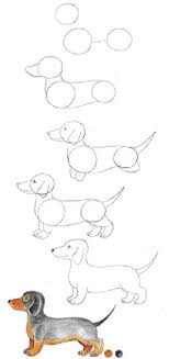 Pin By Yasemin Durmaz On Drawing Drawings Animal Drawings Dachshund Drawing