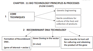 cbse class 12 biology bio technology principles and