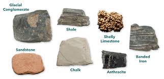 Our state also has a plethora of fossils including crinoids, clams, trilobites, snails, corals, and at least one dinosaur. 3 Types Of Rock Igneous Sedimentary Metamorphic Amnh