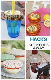 I Used Tip 1 To Keep Flies Away And It Worked Like A Charm Keep Flies Away Food Backyard Fun