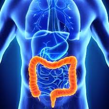 In most of europe, bowel cancer screening programmes start at the age of 50 because cases of the disease are much higher among this older age group. Colorectal Cancer Colon Cancer Rectal Cancer Medlineplus