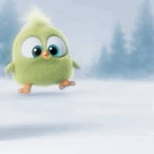 Cute animated angry birds pictures, photos, and images for. Pin Von Kushpreet Gill Auf Christmas Niedliche Vogel Lustige Bilder Gif Bilder Lustig