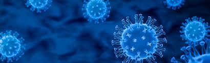 Image result for Influenza
