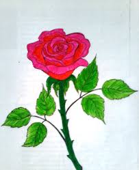 Apalagi kalau gambar mewarnai nya sudah siap. Mewarnai Bunga Ros Kumpulan Gambar Menarik