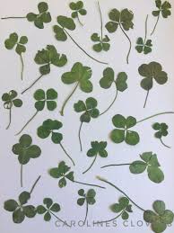 Pin On Four Leaf Clover Jewelry
