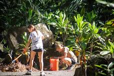 Mālama ʻĀina Volunteer Day