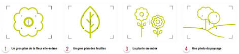 Spipoll Photos Facebook