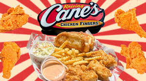 Image result for Canes