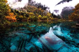 The best breaking news, stories, and events from the patch network of local news sites Five Flower Lake Series Fabulous Nooks Of The World With Striking Colorful Shades