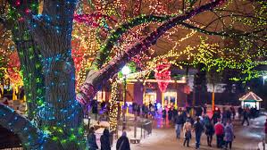 Where To See Dazzling Christmas Lights In Chicago Chicago Christmas Chicago Holiday Chicago Pictures