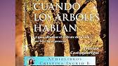 La mejor selección de ebooks gratis en español decretos de oro que salvan vidas. Decretos De Oro Que Salvan Vidas Om Tse Afirmaciones Para Recuperar Tu Vida Youtube