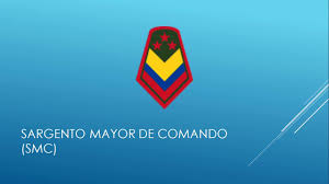 Soldados contraguerrillas conformarán pelotones antidisturbios del ejército. Rangos Militares Ejercito De Colombia Youtube