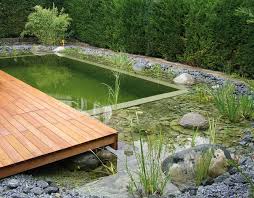 Schoner Schwimmteich Mit Rahmen Holzbecken Naturteich Schwimmteich Natur Pool
