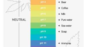 How To Regulate The Ph Balance Of Your Cannabis Growing Medium