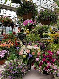 Image result for Randall's Farm pictures on the last