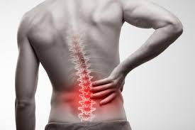 Image result for Low Back Pain Management