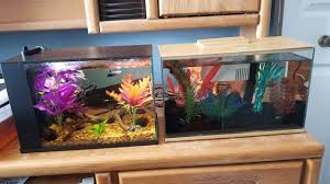 Also adding a new tank to the. Marineland Nook 3 Vs Top Fin Ease Comparison Youtube
