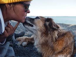 Robert Donndelinger Janel Wagner William Owen Thanks for the pics Janel and  thanks for the help Rob!!!