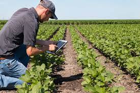 Top 7 Horticulture Jobs Chegg Internships