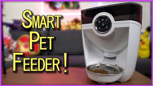 If you are looking for a cat feeder that. Solved Feeder Robot Review How I Keep My Dog Out Of The Cat Food My Dream Smart Home Youtube