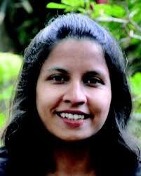 A framework for constructing linear free energy relationships to design  molecular transition metal catalysts