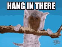 Hang In There Baby Gifs Tenor