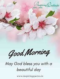 Good Morning, Have a Nice... - Good Night Wishes & Quotes | Facebook