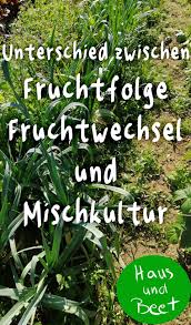 Fruchtfolge Im Garten Was Du Beachten Solltest In 2020 Fruchtfolge Fruchte Bepflanzung