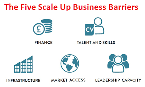 How to expand a business effectively. 9 Tips To Improve Your Scale Up Recruitment Strategy Harver