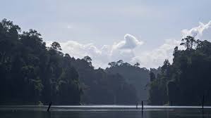 Dicatat oleh houseboatroyalbelum di 5:46 pg tiada ulasan Fakta Menarik Tentang Royal Belum Perak Tripjalan