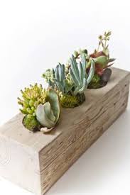 Which usually take up space the size of a hand, are preferred for decoration in many indoor and outdoor places because of easy to maintain and effortless. Reclaimed Wood Planter Succulent Planter Diy Wood Succulent Planter Wooden Succulent Planter