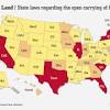 Residents of michigan can open carry a handgun without a cpl license if the gun is registered to their name. 1