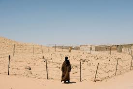 711 likes · 34 talking about this · 409 were here. Sahara Occidental Le Maroc Determine A Reagir Contre Toute Menace A Sa Securite La Libre Afrique