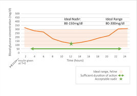 Interpreting Glucose Curves
