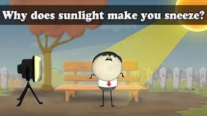 We did not find results for: Why Does Sunlight Make You Sneeze Aumsum Kids Science Education Children Youtube