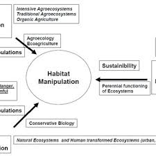 Synthetic chemical pesticides were introduced in the 1940s and used widely on agricultural crops in the hope. Pdf Sustainable Pest Management For Cotton Production A Review