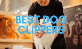 Maybe you would like to learn more about one of these? 5 Best Dog Clippers And Professional Grooming Kits Jugdog Co Uk
