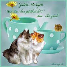 Zitate und sprüche für jeden anlass und jede gelegenheit. Guten Morgen Nachricht Whatsapp 861 Gbpicsbilder Com