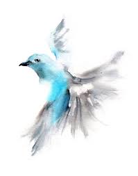 Drawing Birds Flying In The Sky Painting Bird Art Print Flying Blue Tanager Light Blue Grey Bird Etsy Paintings Art Prints Bird Art Print Bird Watercolor Paintings
