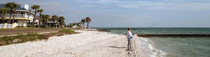 We remember our past, work for our dinner, and aren't afraid to get our hands dirty. Living In Corpus Christi Tx U S News Best Places