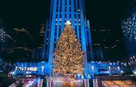 Price and stock could change after publish date, and we may make money from these links. Most Beautiful Christmas Trees In The World