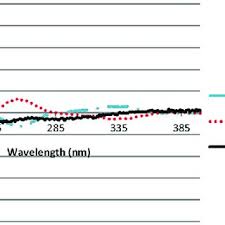 Image result for Phyllanthus pseudocarunculatus