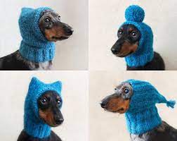 Knitting Pattern Small Dog Hat Mini Dachshund Hat Pet Etsy In 2021 Dog Sweater Pattern Dachshund Hat Small Dog Sweaters