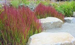 It's also very easy to synthesize, so even novice summoners can work with it. Japanese Red Grass Groupon Goods