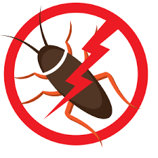 Find hotels by best western hotels & resorts. Getting Rid Of Roaches Pest Control Best Pest Control Pests